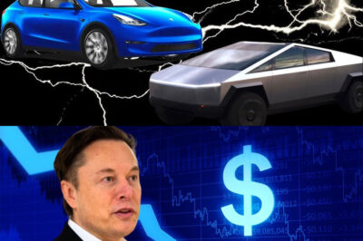 “A Confusing Decision: Tesla Stops Production of Two Flagship Cars – What’s Causing Elon Musk to Hesitate?”