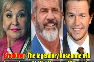 Hollywood is shaking things up! The legendary trio of “Roseanne” have unexpectedly joined hands with Mark Wahlberg and Mel Gibson to create a brand new production studio called “Non-Woke Production” – and they’re calling it “the rise of the heroes.”
