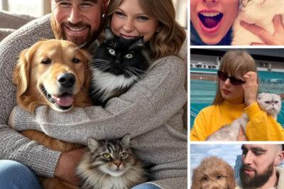 After Taylor Swift confirmed staying in Florida with Travis Kelce for his NFL training, their fans are now waiting for the next big update amid wedding rumors. And turns out, we may have one; the football player might add a new member to the family. As per his recent interview in Cannes, Kelce is thinking of getting a new four-legged family member, while Taylor loves cats and Travis wants a dog… They had a debate and the final result surprised fans.