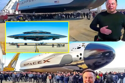 Elon Musk Just Unveiled a Hypersonic Spacecraft That Could Redefine the Future—1-Hour Global Travel May Be Just the Beginning  Is this the moment science fiction officially becomes reality? Elon Musk has stunned the world with his most daring creation yet: a hypersonic spacecraft that promises to take us anywhere on Earth in under an hour—and far beyond. But that’s only part of the story. What exactly is this mind-blowing technology? And how could it change not only how we travel, but how we live, think, and explore the universe? The answers are more incredible than you’d imagine.
