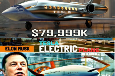 FLYING INTO THE FUTURE: Elon Musk has just revealed plans for the jaw-dropping 2025 Tesla Electric Plane, priced at only $79,999—and it’s the production plan that has everyone stunned. How will Tesla pull this off? And could this be the beginning of commercial electric air travel for the masses? The sky might not be the limit anymore
