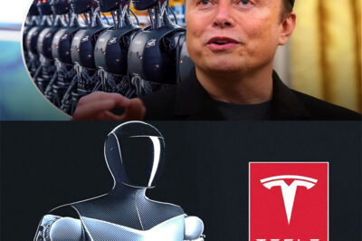 Elon Musk Reveals Shocking Plan to Mass Produce Tesla’s Humanoid Robots by 2027—What “Optimus” Is Designed to Do Will Blow Your Mind. In a bold announcement that’s sparking global buzz, Elon Musk has confirmed Tesla will begin mass production of its humanoid robots, dubbed “Optimus,” by 2027. But it’s what these futuristic machines are designed to do that’s truly jaw-dropping. From transforming daily life to reshaping entire industries, could Optimus be the biggest tech leap of the decade? Here’s what we know so far—and why the world is watching closely.