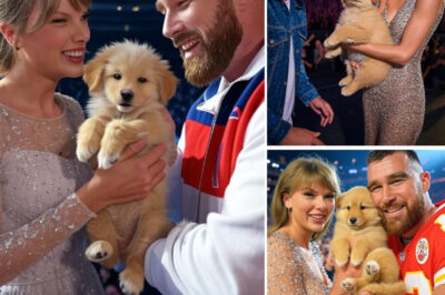 CHARITY SURPRISE: Travis Kelce and Taylor Swift Adopt Stray Puppy Mid-Concert—Fans Go Wild Over Its Adorable Name!  In a heart-melting moment that no one saw coming, a stray puppy wandered on stage during Taylor Swift’s concert—and walked straight into the arms of music and sports royalty. But what happened next had fans cheering louder than ever. What’s the story behind this surprise adoption, and what was the pup’s first unforgettable trick?