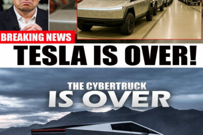 Elon Musk: Tesla SHUTS DOWN Cybertruck Production And Recalls ALL Cybertrucks!