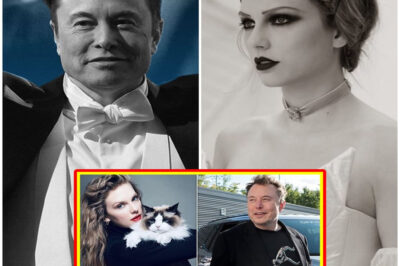 Elon Musk Responds to Taylor Swift’s “Baby Cat Girl” Comment with Unexpectedly Sweet Offer