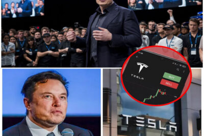 Elon Musk Holds Tesla All-Star Meeting, Talks About Special Vision, Company Stocks Soar Immediately