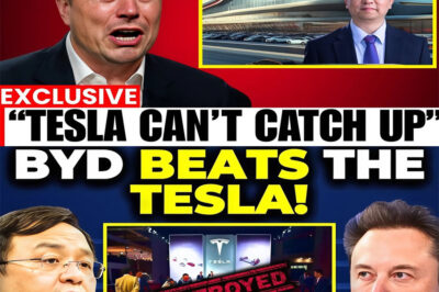 INCREDIBLE GROWTH: BYD is outpacing Tesla and crippling the entire EV competition — What’s driving its explosive growth, and is this the start of a new global EV leader? Industry giants are scrambling to catch up… Here’s what you need to know.