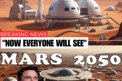 Elon Musk Just Revealed Shocking Details About Future Life on Mars—and It’s Far From What You Expected. What would everyday life on Mars actually be like? Elon Musk has finally pulled back the curtain, revealing surprising—and even controversial—plans for humanity’s first off-Earth colony. From how humans eat and work to the shocking truth about how Mars is governed, the vision may make you question Earth itself.