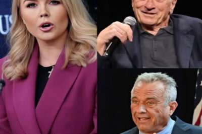 Karoline Leavitt UNLOADS on Robert De Niro During LIVE TV Appearance — And Instantly Regrets It in Front of Millions!