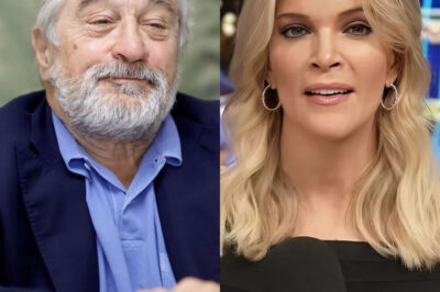 Robert De Niro Silences Megyn Kelly Live On Air With Eight Chilling Words—Fans Say They’ve Never Seen Her So Speechless