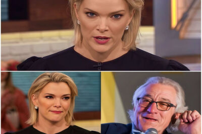 I Don’t Care What You Think of Me — Robert De Niro Silences Megyn Kelly Live On Air With Eight Words That Changed the Room, the Ratings, and the Power Dynamic