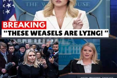 Reporters Try to Corner Karoline Leavitt… and Immediately Regret It