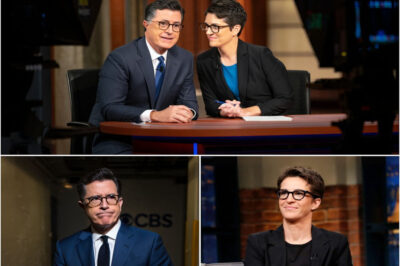 “Is It True?” — Rumors Are Spreading That Stephen Colbert and Rachel Maddow Are Secretly Preparing the Most Unexpected Late-Night Comeback in Television History