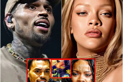 BREAKING: Chris Brown Speaks Out About Rihanna’s Upcoming Documentary — And His Response Has Everyone Talking