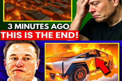 FIRST DISASTER: Elon Musk Humiliated as Cybertruck Found Abandoned in Parking Lot—Production Shut Down! What Went Wrong and Is This Tesla’s Biggest Failure to Date?