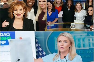 In a stunning legal victory, Karoline Leavitt has just sealed her $800 million lawsuit—leaving The View reeling and the entire media industry scrambling to reassess its playbook.