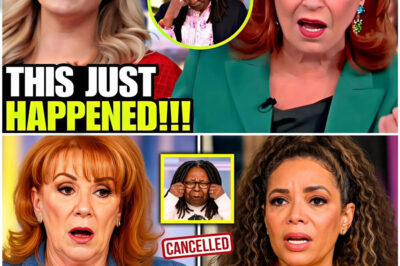 Breaking news: “The View” Melts Down Over Biden – Alyssa Farah Griffin Exposes the Democratic Party’s ‘Biggest Cover-Up in Modern History’!