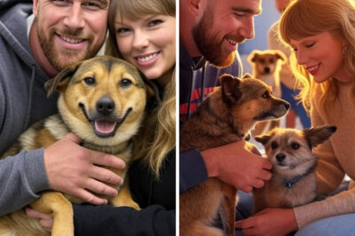 CHARITY MYSTERY REVEALED! Travis Kelce and Taylor Swift just adopted a stray dog ​​from a local shelter — and while fans are going crazy over the adorable pup, talk of the dog’s mysterious past is raising eyebrows. Did the four-legged friend survive something much darker than anyone imagined? As the couple’s unexpected move sparks a surge in adoptions, insiders hint that this could be just the beginning of a much larger rescue mission. What are Travis and Taylor up to next — and what secrets does their new puppy hold?