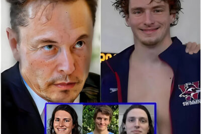 BIG CONTROVERSY: Elon Musk Sets Social Media on Fire with Straight Statement on Women’s Sports—“No Biological Male Should Compete” . Elon Musk has set the internet on fire again—this time with a single, uncompromising statement: “No biological male should compete in women’s sports.” The comment went viral in minutes, sparking a global outpouring of outrage, support, and debate. But why did Musk choose this moment to speak out? And how are athletes, advocates, and lawmakers responding to the firestorm? The backlash—and the deeper motives behind it—may be even more explosive than anyone expected.