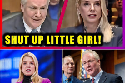 THE MOMENT TRUTH HIT LIKE A GAVEL: Chris Van Hollen Just Taught Pam Bondi a Brutal Lesson in Accountability — it drove her CRAZY and America Was Watching.