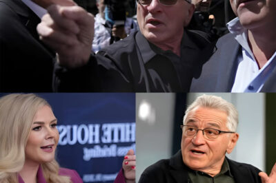 Leavitt DESTROYS Robert De Niro On Live TV – His Furious INSANELY Viral