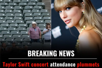BREAKING OUT: Taylor Swift Faces Stunting Drop in Concert Attendance After Kamala Harris Concedes to Trump — ‘Empty Seats and Echoes’ Leave Fans and Critics Wondering: Is This Political Backlash or Something Bigger? The Full Story Behind the Sudden Drop…