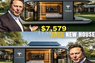BREAKING: $7,579 Tesla Tiny House Revealed: No Taxes, No Land Deed — Everything You Need to Know