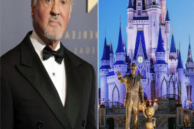 Hollywood Earthquake: Sylvester Stallone Turns Down $500 Million Disney Deal — “I Don’t Want Trendiness in My Life”. In a move that has sent shockwaves through the film industry, Sylvester Stallone has reportedly turned down a $500 million offer from Disney, calling the project “too trendiness.” Why would the action legend walk away from one of the biggest paydays in Hollywood history—and what does it say about the growing conflict between stars and studio politics?
