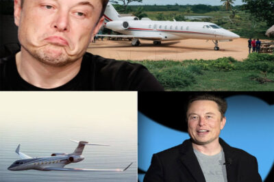 Elon Musk’s Private Plane Crashes in a Remote Village — His Next Move Leaves Locals Completely Stunned. When Elon Musk’s private plane unexpectedly landed in a small, remote village, no one could have predicted what would happen next. Stranded and far from his usual high-tech world, Musk’s unexpected move left onlookers speechless. What did he do—and why are people calling it one of his most unexpected moments ever?