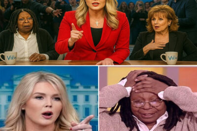 She Said 5 Words on Live TV That Left ‘The View’ in Chaos, Sparked a National Boycott, Sent ABC into Emergency Lockdown—and Now They’re Scrambling to Bury the Fallout Before the Truth Gets Out