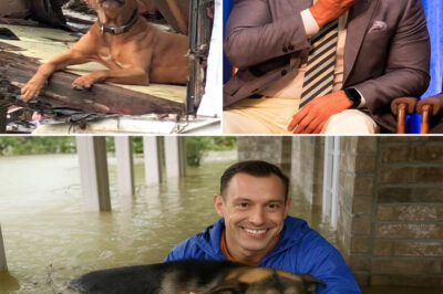 “They Were Shaking, Drenched, And Waiting For Someone To Care…” — Fox News’ Johnny Joey Jones, His Voice Breaking, Described The Moment He Found A Puppy Curled Around A Kitten In The Floodwaters. “I Didn’t Lose My Legs To Walk Away From This,” He Said. “If I Can Still Stand For Something—Let It Be For The Helpless.” His Unbreakable Will Helped Rescue Over 20 Abandoned Pets, Turning A Scene Of Devastation Into A Story Of Courage, Compassion, And Hope.