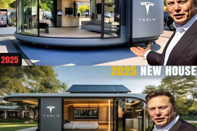 Elon Musk’s $6,759 Tesla Tiny House Finally Arrives on the Market: What’s Inside?