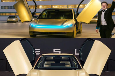 Breaking: Elon Musk Officially Talks About the Tesla Robotaxi! The long-rumored self-driving car is finally getting the green light — but insiders say there’s more to the reveal than meets the eye. What is Tesla really hiding behind its self-driving future? The secret could reshape the way we travel forever…