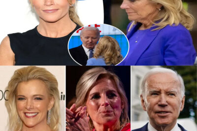 Megyn Kelly has sparked a backlash after criticizing First Lady Jill Biden’s use of the title “Dr.” – a slur that has sparked a backlash online and left many debating what is respectful and what is sarcastic.
