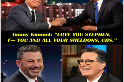“LOVE YOU STEPHEN. F— YOU AND ALL YOUR SHELDONS, CBS.”