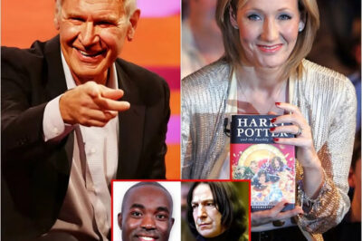 Harrison Ford SPEAKS OUT about Mark Mylod casting a black actor as Severus Snape. He calls for support for JK Rowling to regain the rights to Harry Potter.