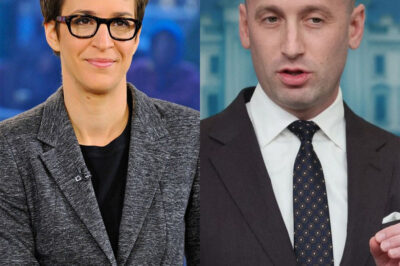 “I Don’t Debate Monsters. I Expose Them.” — Rachel Maddow’s On-Air Takedown Leaves Stephen Miller Shattered and Washington Reeling. He showed up to defend his wife. He walked off with his reputation in ashes. In a moment that’s already being called the most brutal TV reckoning of the year, Rachel Maddow didn’t raise her voice—she dropped the truth. One devastating line silenced the room: “You want to talk morals, Stephen?” The uncompromising interrogation on live television pushed Stephen into a corner — silent and exposed. The whole studio was filled with a chilling atmosphere. Just a few seconds later, millions witnessed a collapse happen right before their eyes. What secrets did she just drag into the light—and why is Washington suddenly scrambling to do damage control?