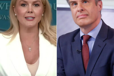 SHOCKING: An ABC News anchor thought he could erase his words with a quick delete — but Karoline Leavitt had other plans.  One screenshot. One post. One personal attack exploded into a public firestorm, forcing one of ABC’s biggest names off the airwaves and sending the network into a full-blown crisis.  Now the internet is exploding, executives are squirming behind closed doors, and the question on everyone’s mind is: What exactly did he say — and why is ABC so desperate to reveal it?
