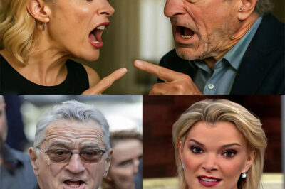 “I don’t care what you think of me.” With just eight words, Robert De Niro stunned Megyn Kelly—and the entire live set—shifting the energy, the ratings, and the balance of power in an instant. What began as a heated on-air clash, with Kelly calling De Niro “incredibly stupid” in front of millions, seemed destined for chaos. But De Niro didn’t scream. He didn’t rage. He simply locked eyes with her and delivered a response so controlled, so precise, it left everyone stunned. Eight words—silent, measured, and utterly devastating. The question on everyone’s mind: What did he say that flipped the script and left fans buzzing long after the cameras stopped rolling? The answer was colder—and more shocking—than anyone could have imagined.