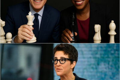 Rachel Maddow, Stephen Colbert, and Joy Reid Unite to Launch a Groundbreaking Newsroom: A New Era of Independent Journalism Begins