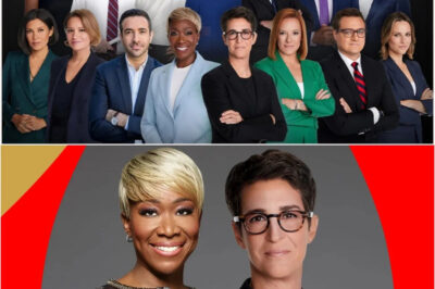 They thought firing one host would quell the controversy—but it instead sparked a controversy. Behind closed doors, Rachel Maddow and Joy Reid have been working together, quietly plotting a 20-year master plan that insiders say could upend the entire system. The question isn’t if—it’s when the first domino will fall.
