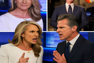Dana Perino of Fox News argued that while Republicans “get the joke” of Governor Newsom’s The former president-style parody posts, they find it unfunny. This reaction highlights how the satirical trolling, which forces MAGA world to confront The former president’s “abject idiocy,” is effectively getting under their skin.