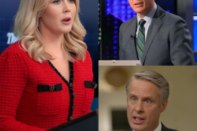 BREAKING — ABC News has suspended one of its top anchors after Karoline Leavitt revealed a shocking comment he thought would remain private. He posted it and then deleted it. But Karoline made sure the world saw it. With just a screenshot, a private rant turned into a public firestorm—plunging ABC into full-blown crisis mode. What exactly did he say that cost him his spot on the air?