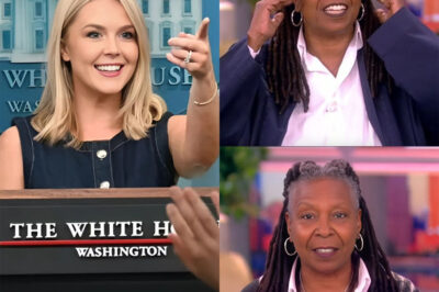 “Sit down, Barbie.” Those were the words Karoline Leavitt hurled at Whoopi Goldberg on live air—but just seven seconds later, it was clear she wished she had kept quiet. What happened in those tense moments that turned her insult into instant regret?