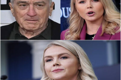 Karoline Leavitt stepped on live television believing she could hold Robert De Niro accountable—but what happened next completely flipped the script. With one cold, calculated response, De Niro turned the tables, leaving Leavitt—and the audience—stunned. What did he say that changed the entire exchange in a matter of seconds?