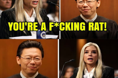 BREAKING: “Don’t argue about the Constitution with an election lawyer.” With that pointed remark, a heated courtroom debate took an unexpected turn — and Pam Bondi’s nomination was suddenly in jeopardy. The debate sent the legal world into a frenzy, but what exactly happened in that tense moment that derailed her and stunned those involved?