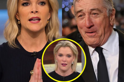 “I don’t care what you think of me.” With just eight words, Robert De Niro stopped Megyn Kelly in her tracks, electrified the audience, and changed the entire tone of the interview. What did he say next that kept viewers glued to the screen—and why is this moment considered a turning point?