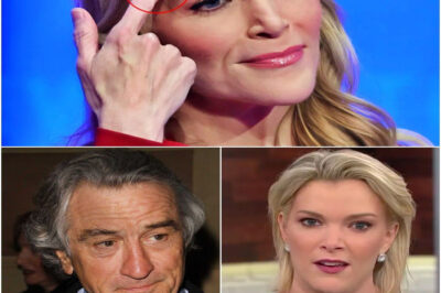 UNBELIEVABLE: Studio Goes Silent When Megyn Kelly Calls Robert De Niro ‘Old-Fashioned’ — But It Was Her Next 5 Words That Silenced Him On Live TV What Did She Say That Completely Silenced The Hollywood Legend — And Why Are People Still Talking About It?