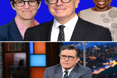 Rachel Maddow, Stephen Colbert, and Joy Reid Launch Independent Newsroom to Challenge Traditional Media Norms