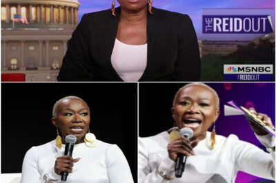 Joy Reid Exposes MSNBC Pay Disparity and Launches Independent YouTube Show After “The ReidOut” Cancellation